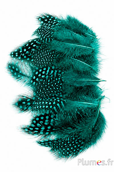 Perlhuhn - 7-13 cm - jade